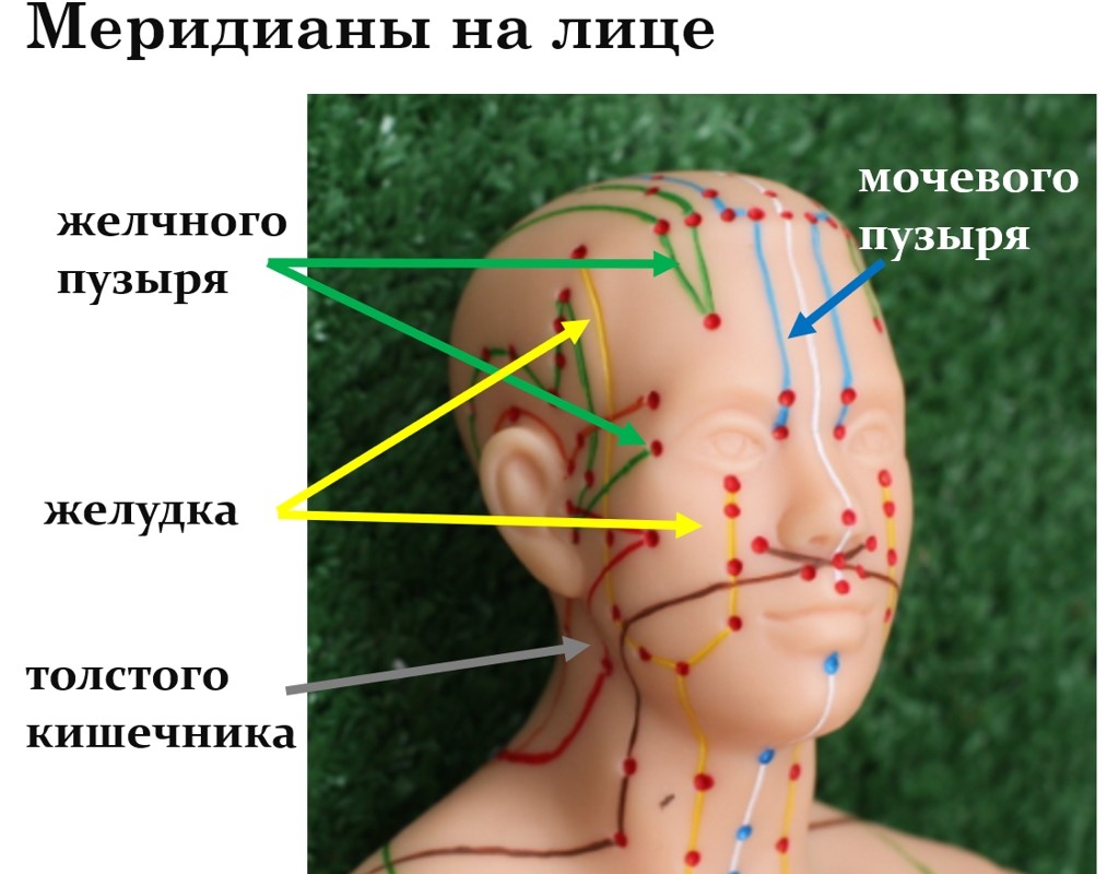 локализация меридианов на лице
