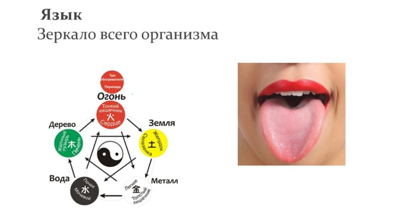Диагностика болезней по языку
