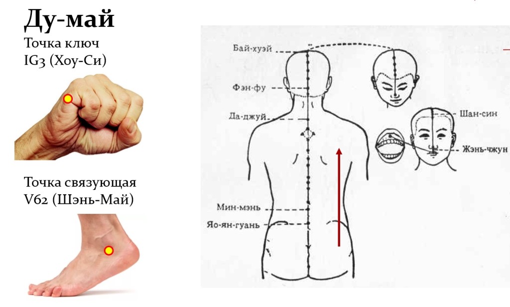 Заднесрединный Меридиан Ду-май. Меридиан тонкого кишечника точки акупунктуры. Точка акупунктуры Чжун Ду. Хоу си точка акупунктуры.