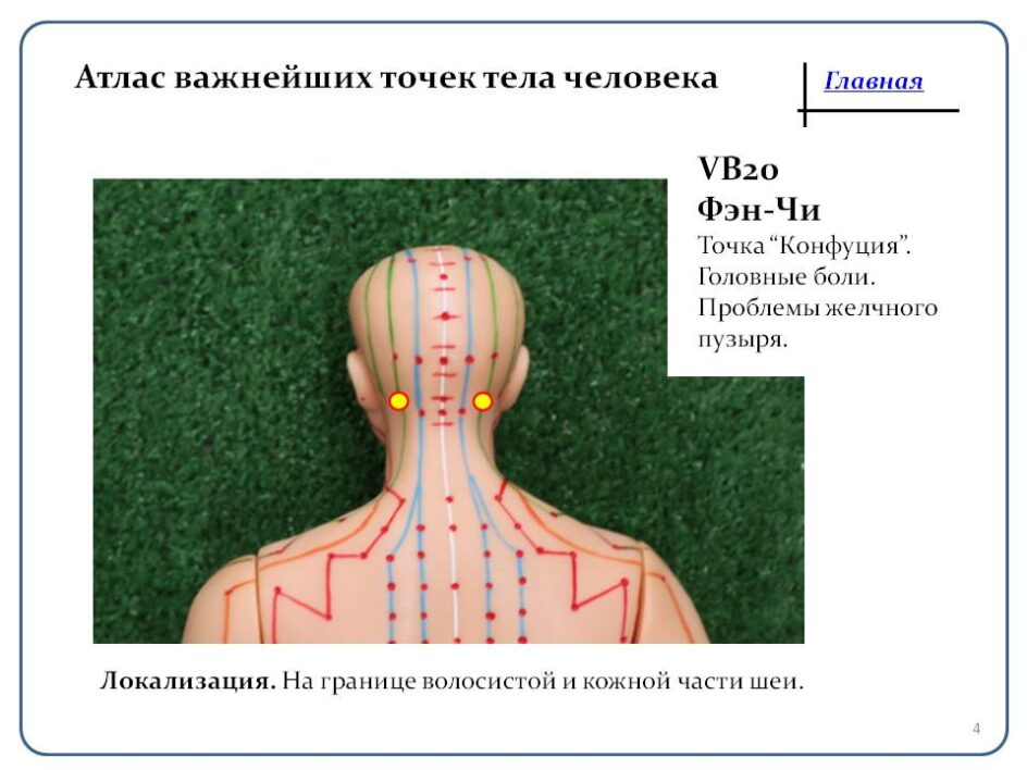 Точечный массаж ступней ног схема. Точки на ногах за что отвечают. Нервные болевые точки человека. Точки акупунктуры на теле человека атлас. Уязвимые места тела человека.